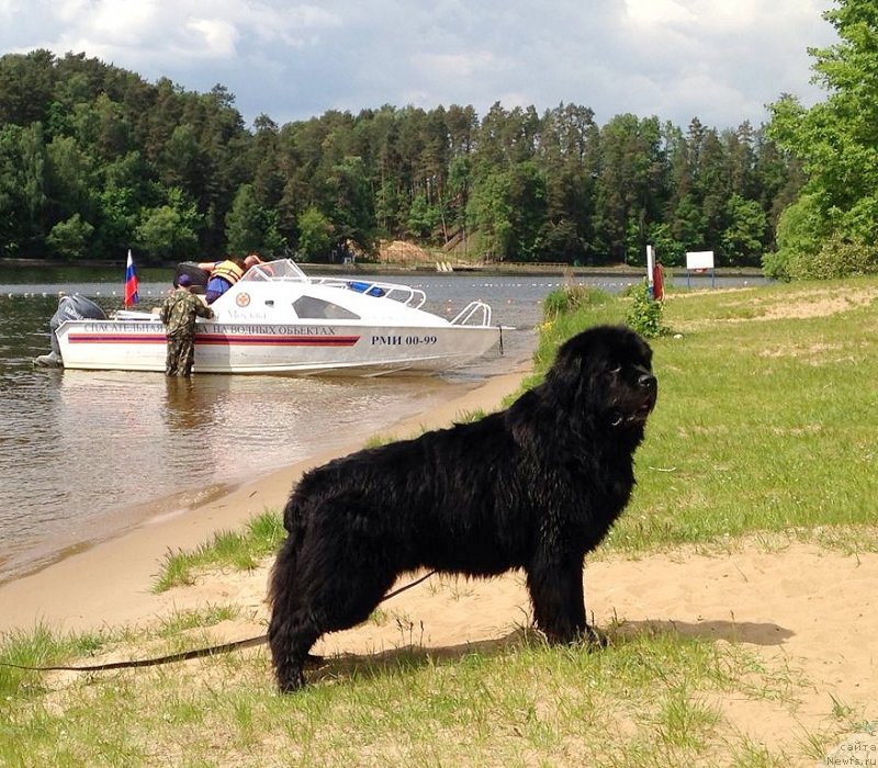 Фотография № 242946