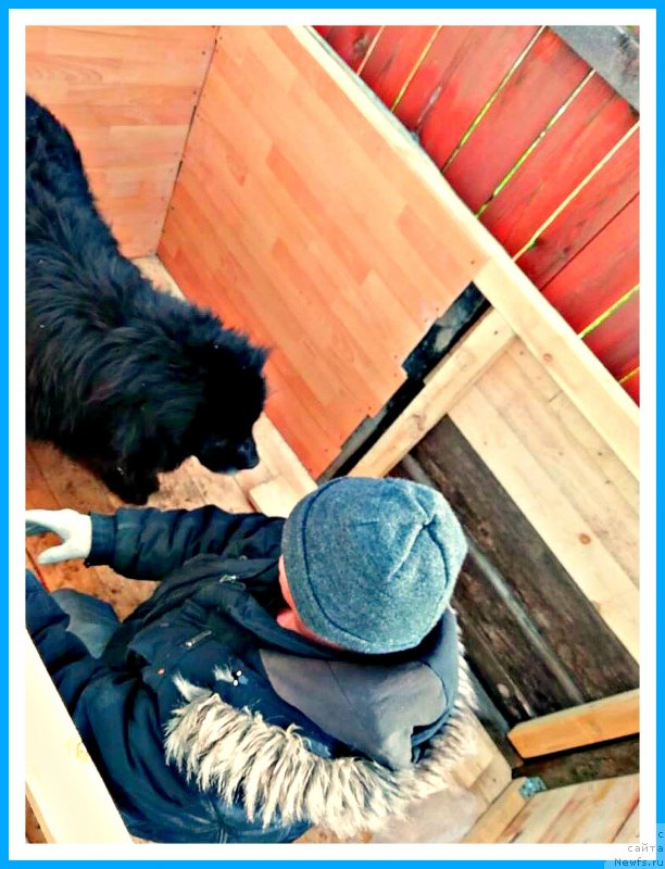 Фото: Мишка(Жора-Лютик)