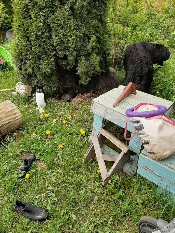 Фотография № 242980