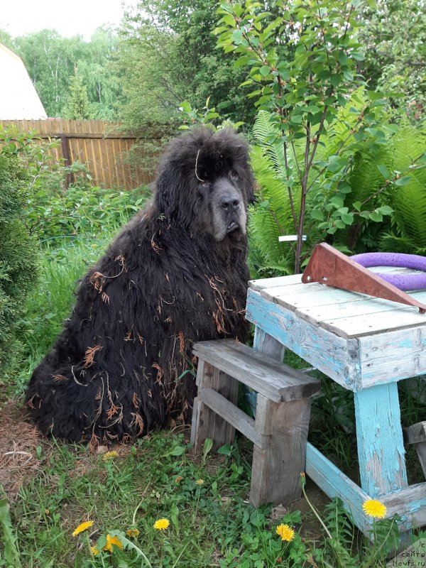 Фотография № 242981