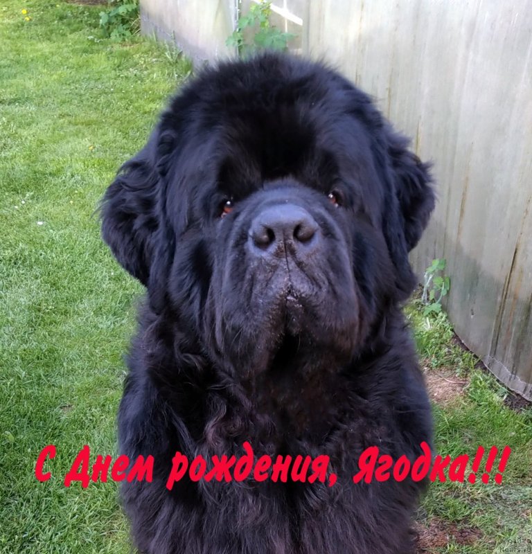 Фотография № 243024