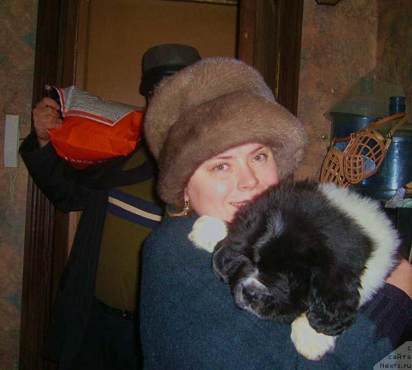 Фото: ньюфаундленд Super Bizon Gera (Супер Бизон Гера), Ol'ga Skumatenko (Ольга Скуматенко)