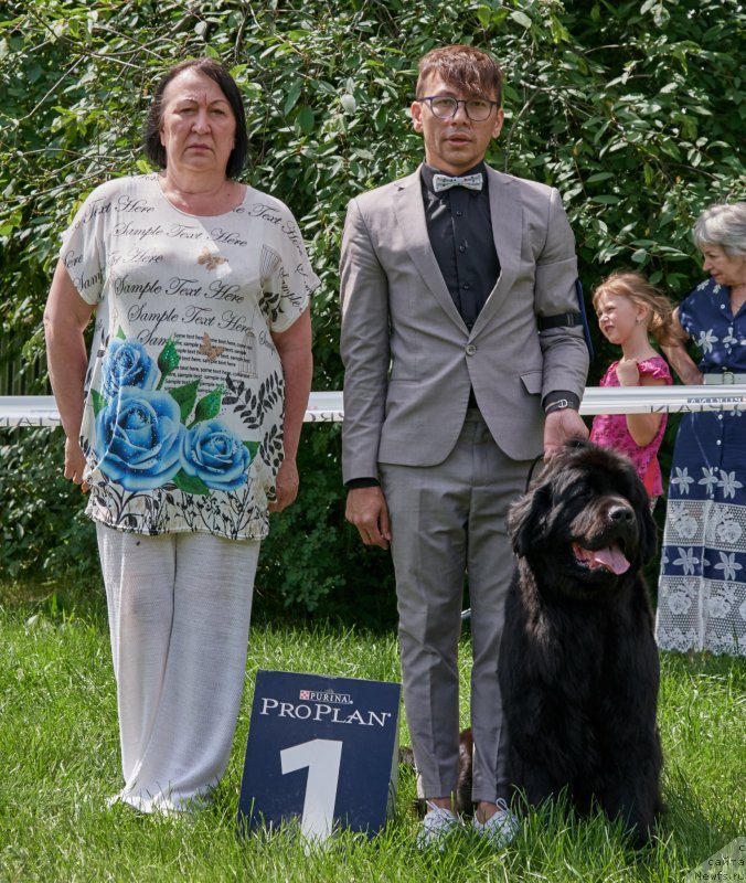 Фото: ньюфаундленд Parki is Antagrada (Парки из Антаграда)