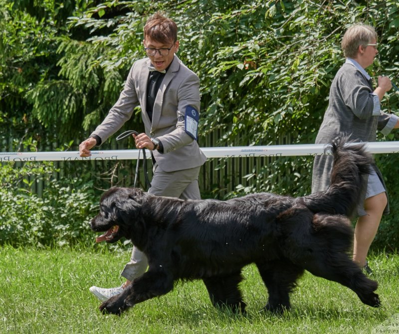 Фотография № 243105