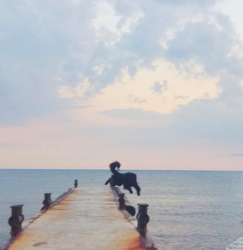 Фотография № 243137