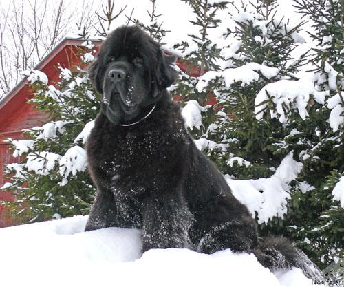 Фотография № 24314