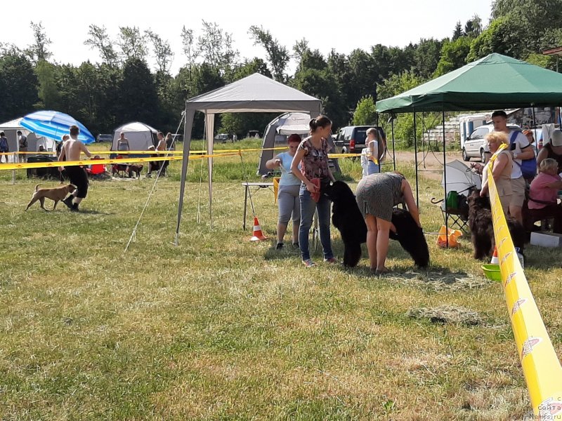 Фотография № 243158