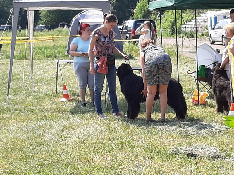 Фотография № 243159