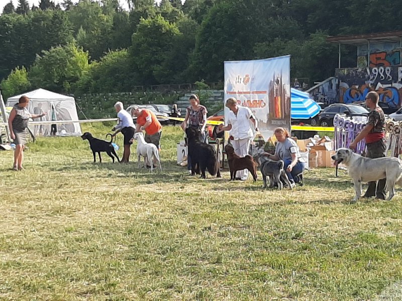 Фотография № 243164