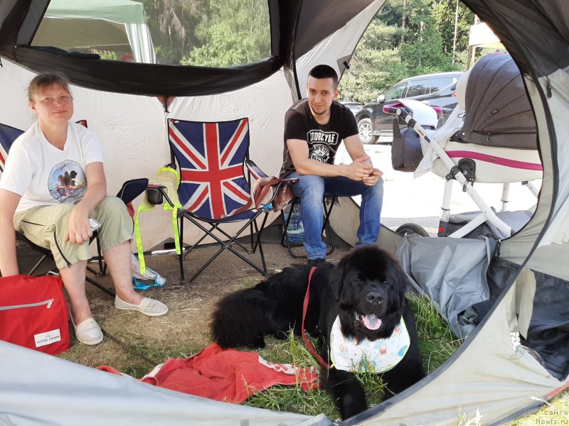 Фотография № 243167