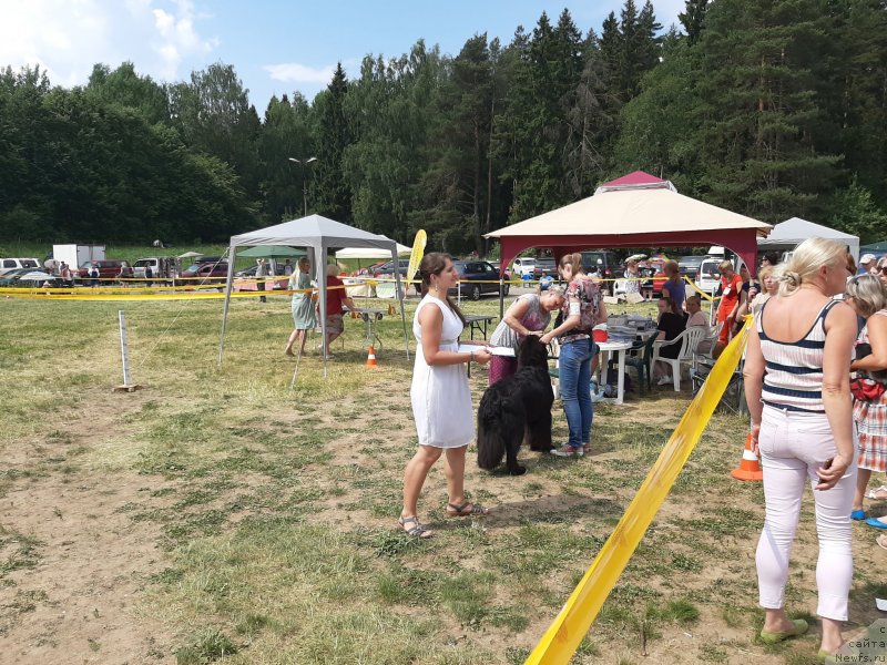 Фотография № 243169