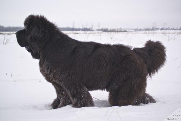 Фотография № 24317