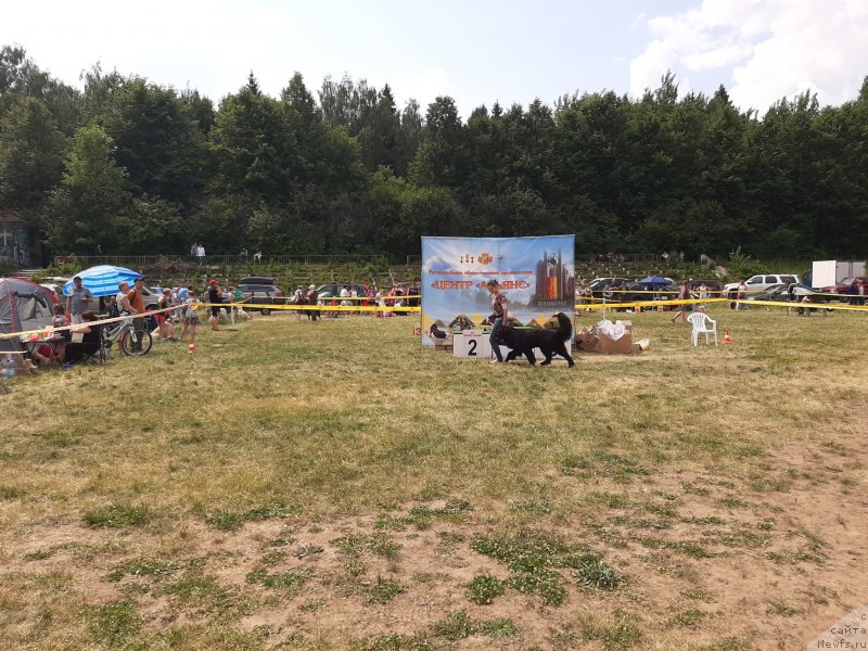 Фотография № 243171