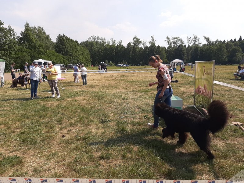 Фотография № 243173