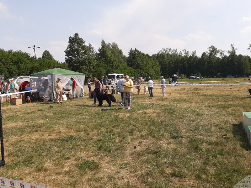 Фотография № 243174