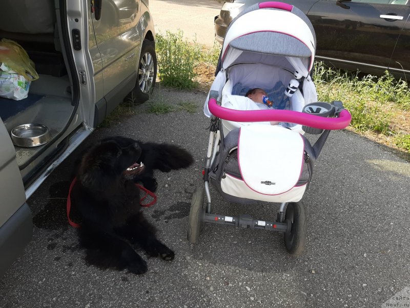 Фотография № 243176