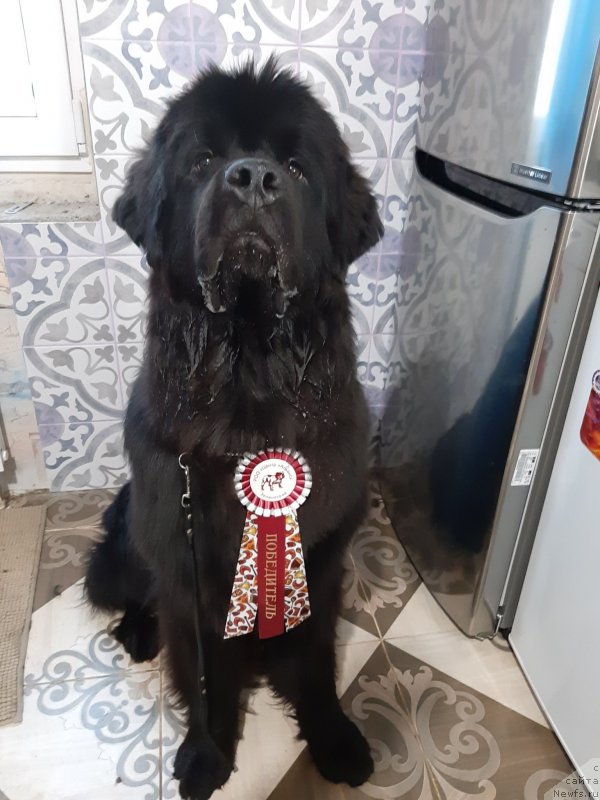 Фотография № 243178