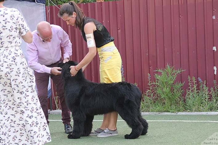 Фотография № 243183