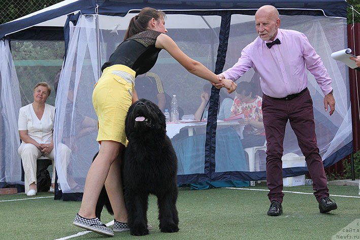 Фотография № 243184