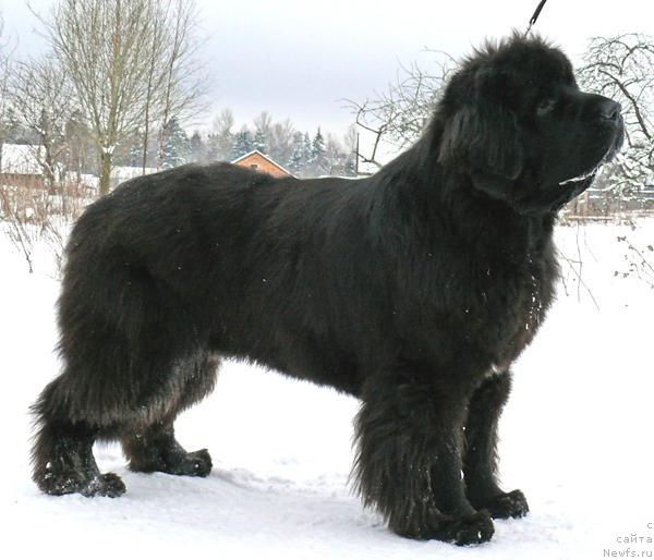 Фотография № 24319