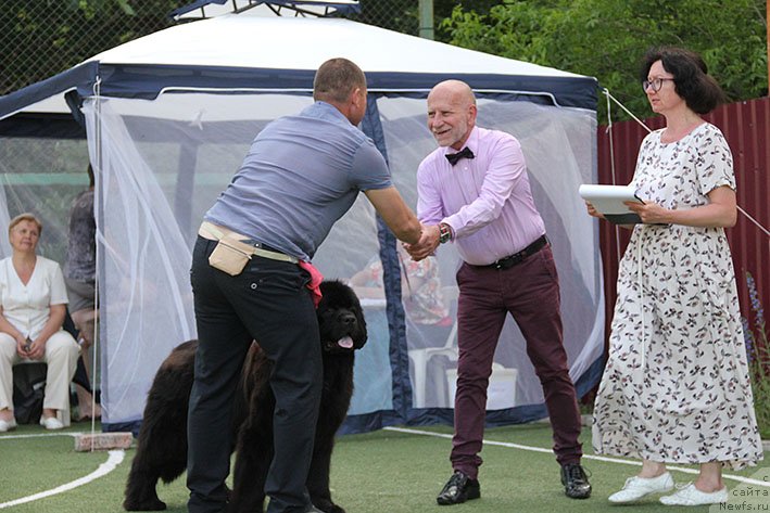 Фотография № 243194