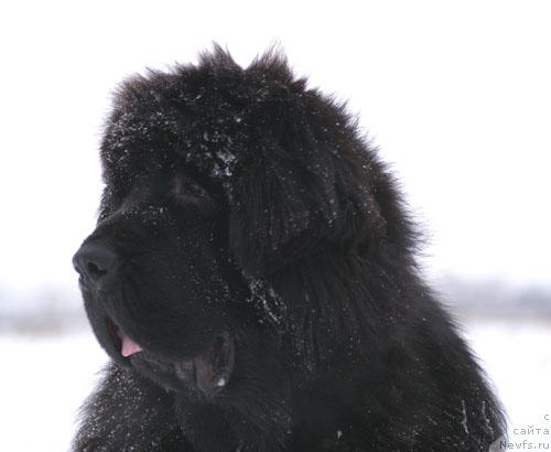 Фотография № 24320