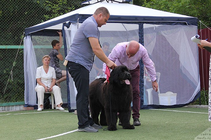 Фотография № 243208