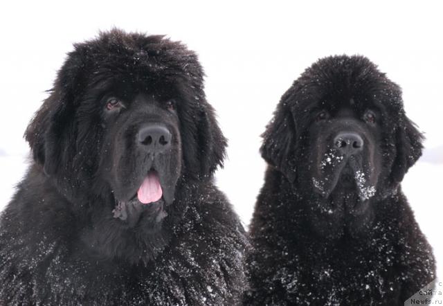 Фотография № 24321