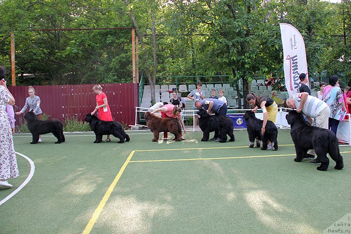 Фотография № 243214