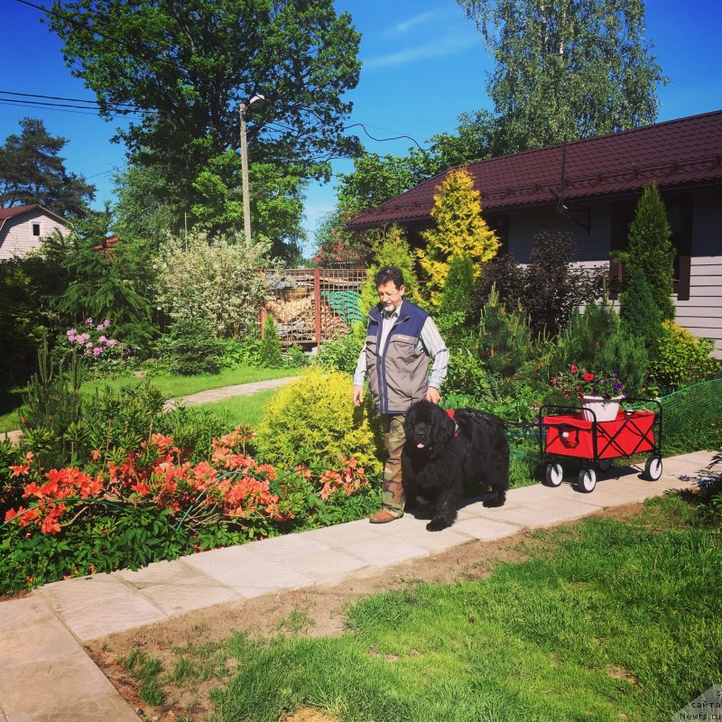 Фотография № 243233