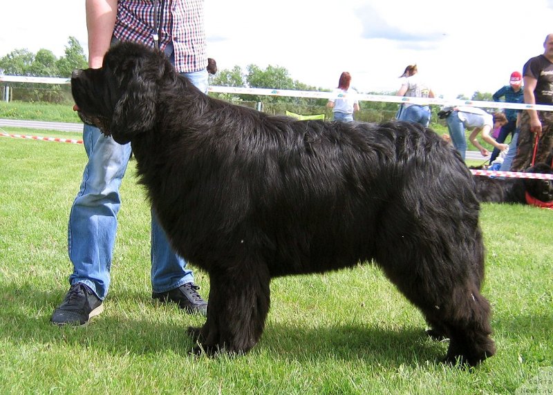 Фотография № 243237