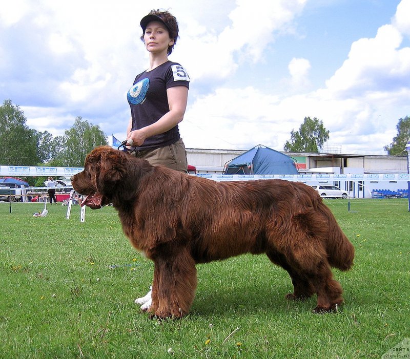 Фотография № 243241