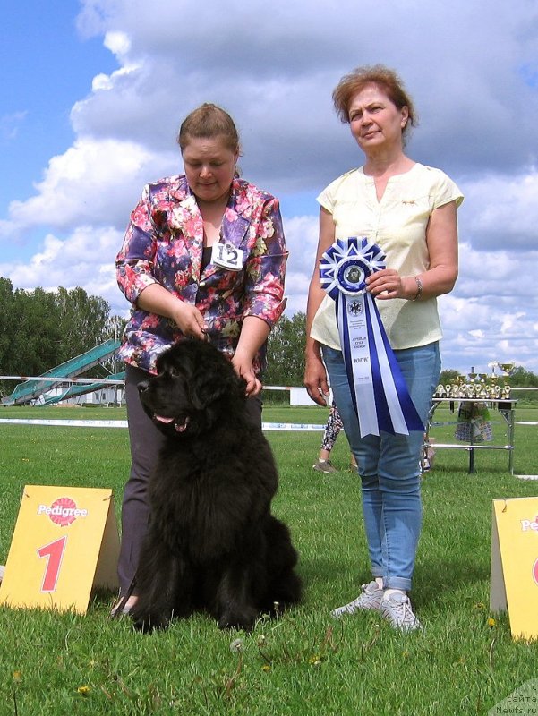 Фотография № 243254