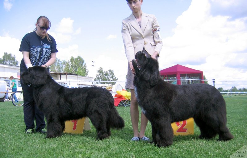 Фотография № 243258