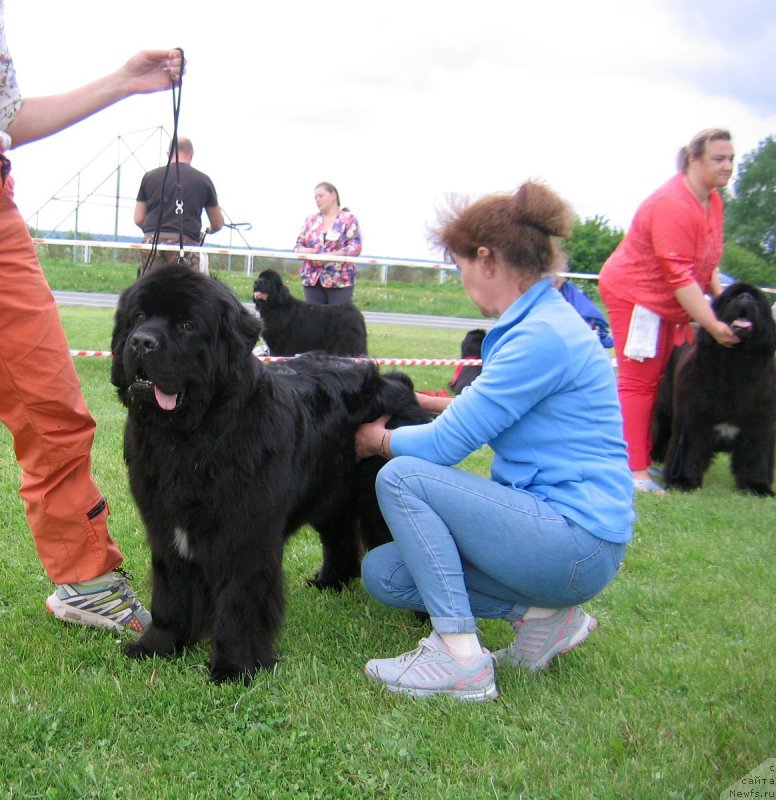 Фотография № 243261