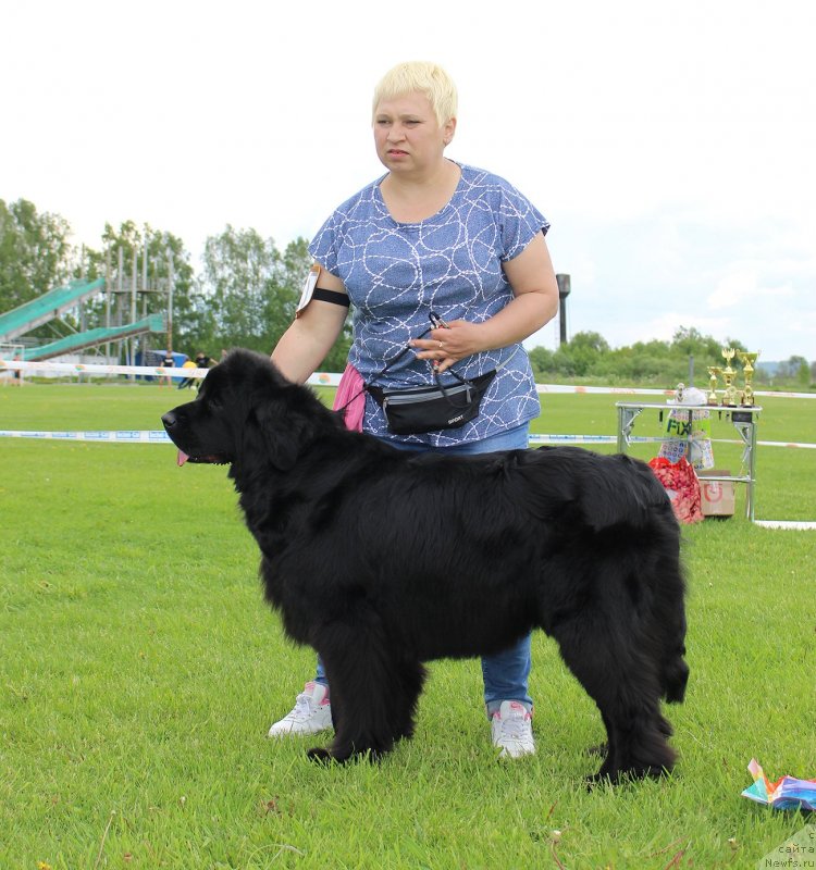 Фотография № 243263