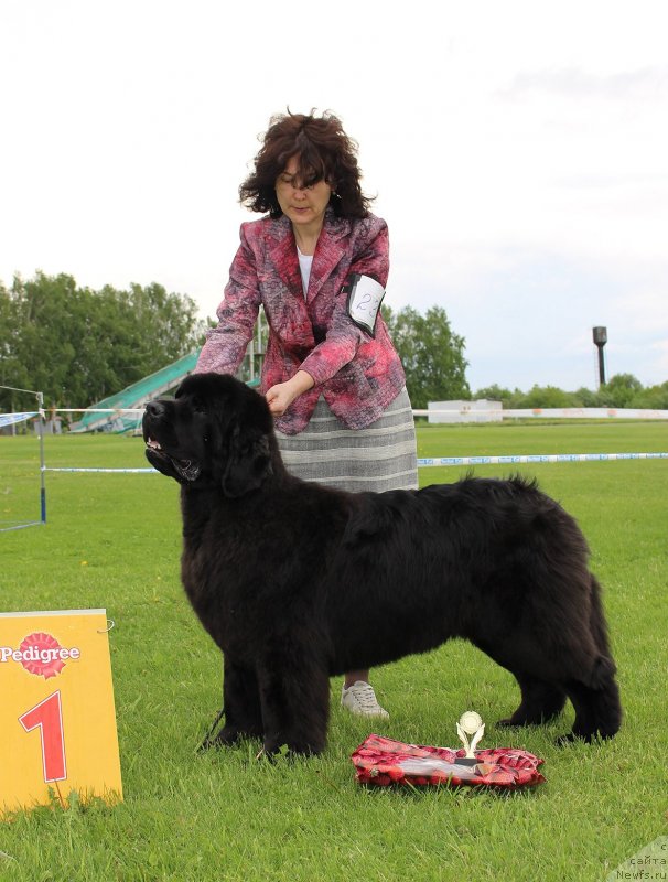 Фотография № 243266