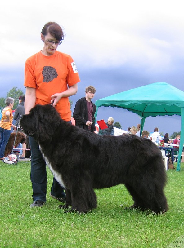 Фотография № 243267