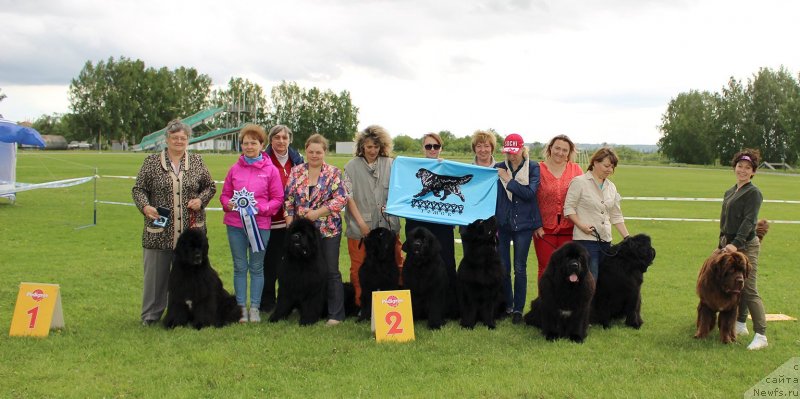 Фотография № 243272