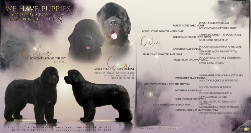 Фотография № 243275