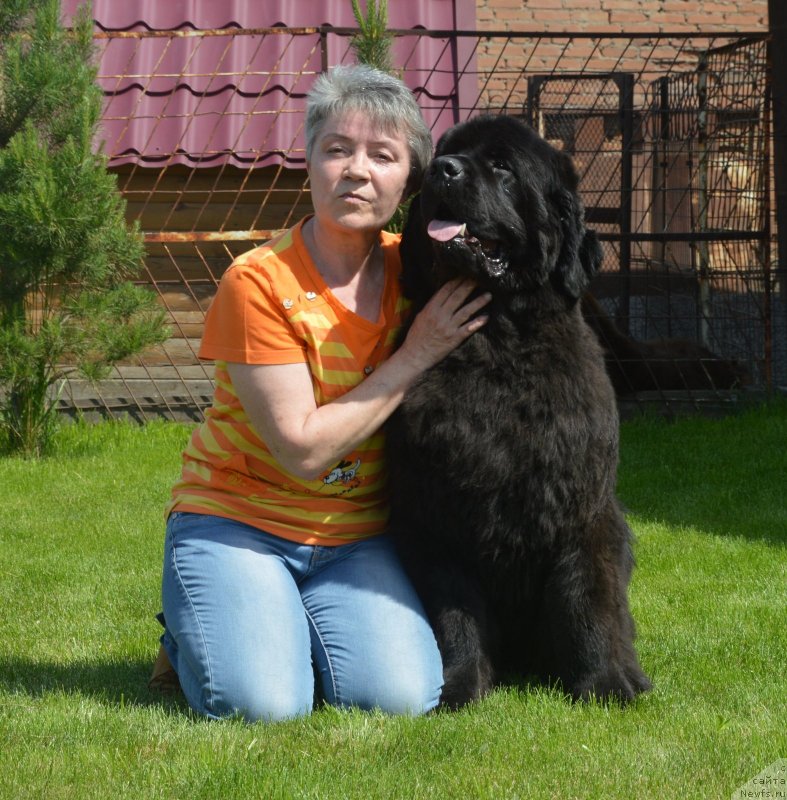 Фотография № 243285