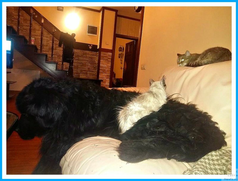 Фотография № 243305