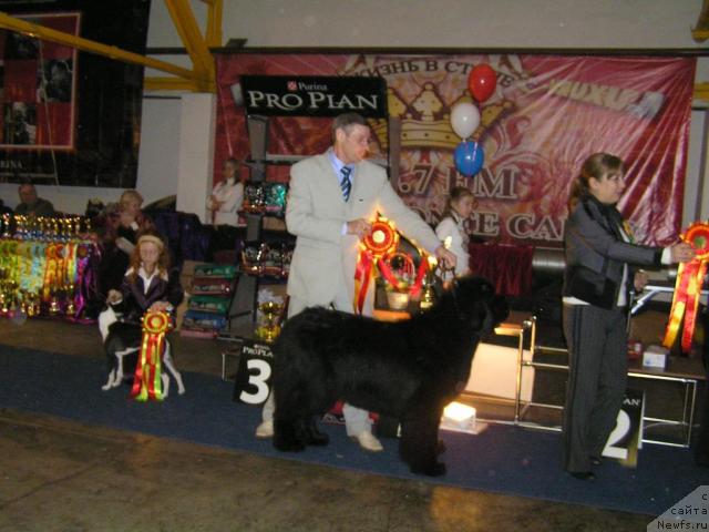 Фотография № 24332