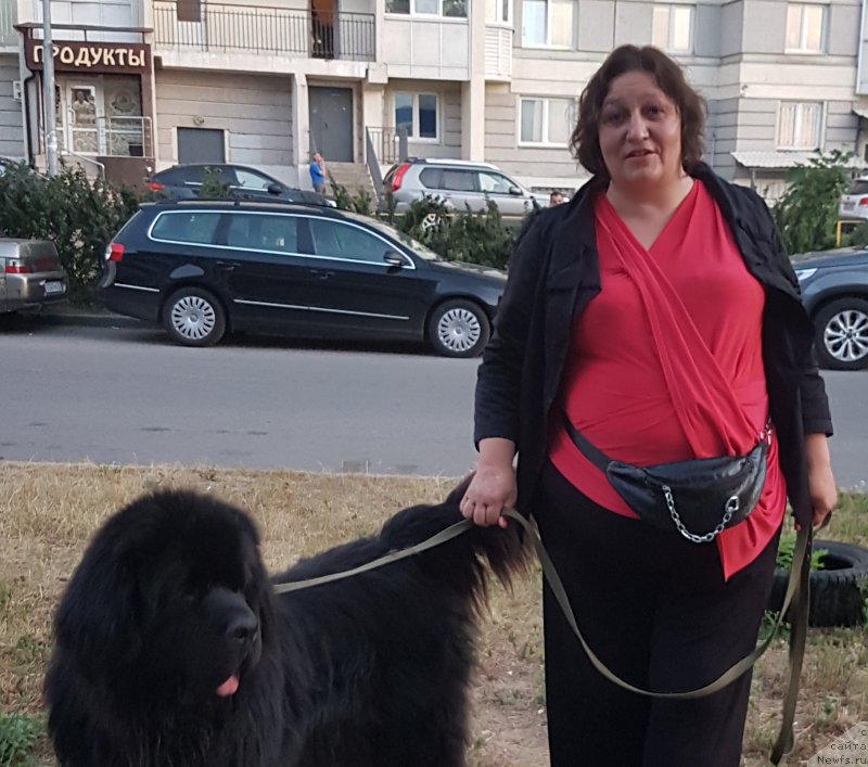 Фото: ньюфаундленд Daanich Veselyiy Rodjer (Даанич Веселый Роджер), Liliana Rahmatova (Лилиана Рахматова)