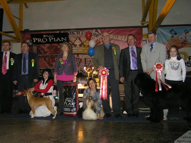 Фотография № 24334