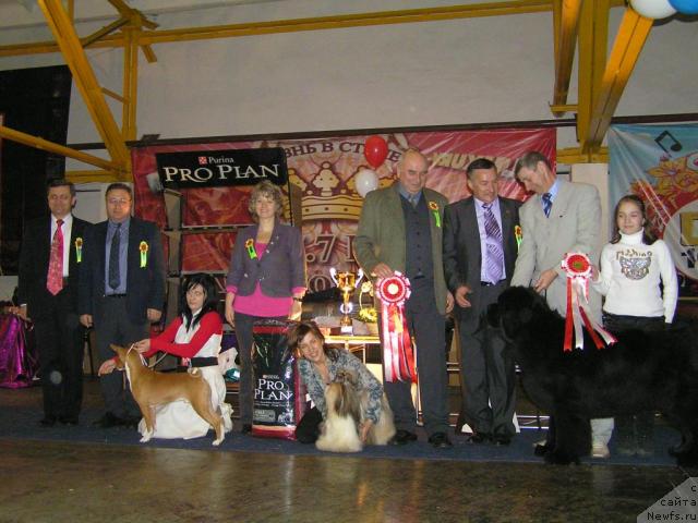 Фотография № 24335