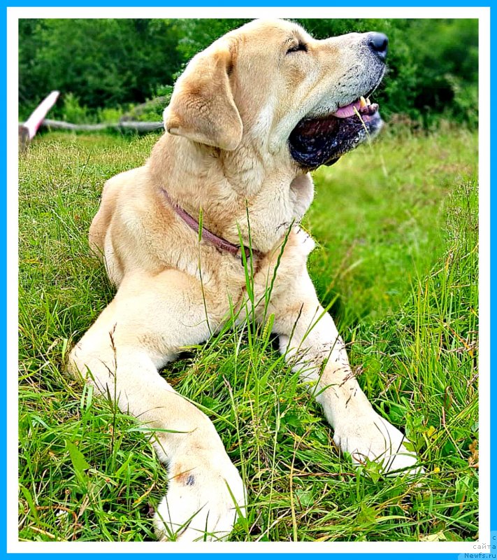 Фотография № 243353