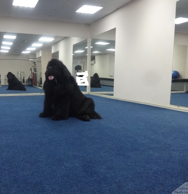 Фотография № 243377