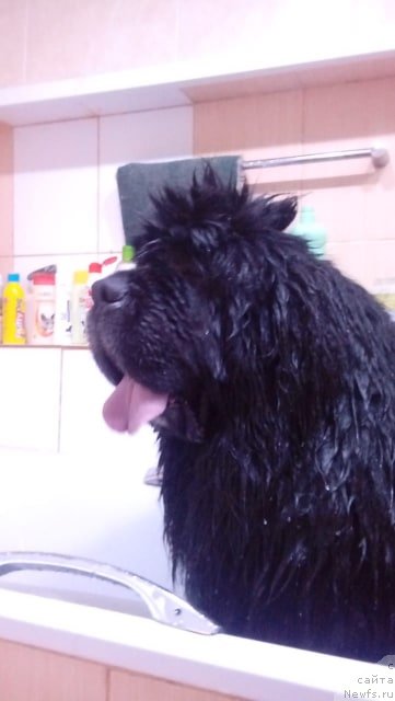 Фотография № 243379