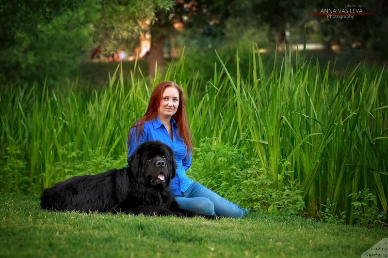 Фото: ньюфаундленд Chernyj Chank s Berega Dona (Черный Чанк с Берега Дона)
